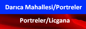 MAHALLEMİZDEN PORTRELER (Licgana)