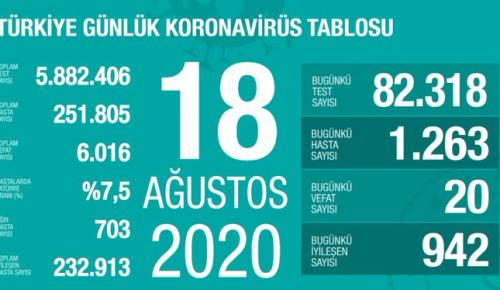 CORONAVİRÜS TABLOSUNDA BUGÜN (18 AĞUSTOS 2020)