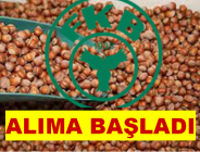 FİSKOBİRLİK ALIMA BAŞLADI