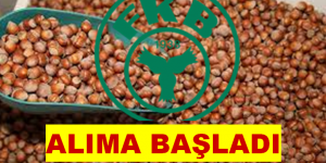 FİSKOBİRLİK ALIMA BAŞLADI