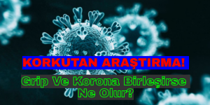 KORKUTAN ARAŞTIRMA! Grip Ve Korona Birleşirse Ne Olur?