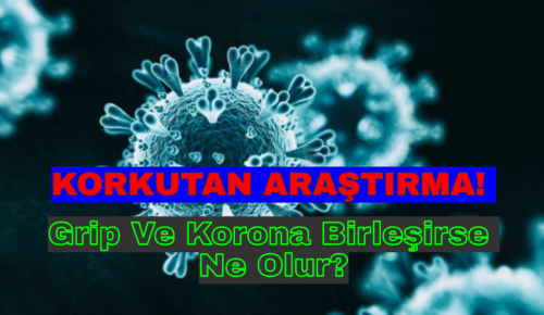 KORKUTAN ARAŞTIRMA! Grip Ve Korona Birleşirse Ne Olur?