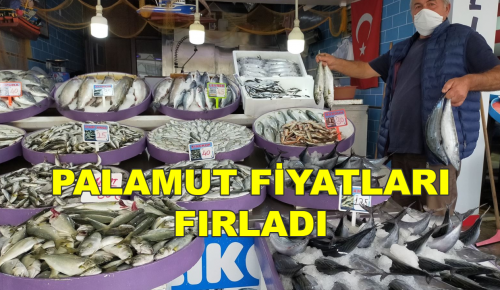 PALAMUT FİYATLARI FIRLADI