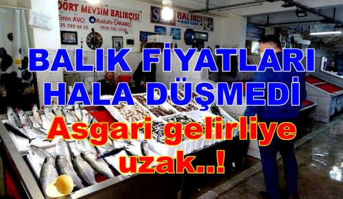 BALIK FİYATLARI ASGARİ GELİRLİYE UZAK!