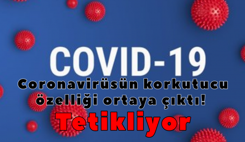 Coronavirüsün korkutucu özelliği ortaya çıktı! Tetikliyor