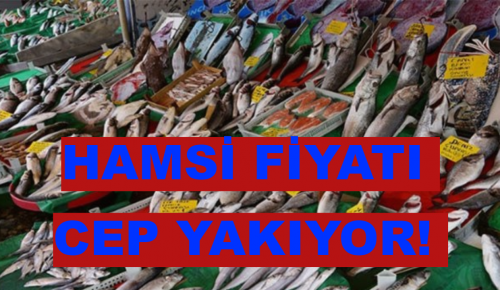 HAMSİ FİYATI CEP YAKIYOR