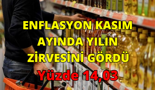 ENFLASYON KASIM AYINDA YILIN ZİRVESİNİ GÖRDÜ: Yüzde 14,03