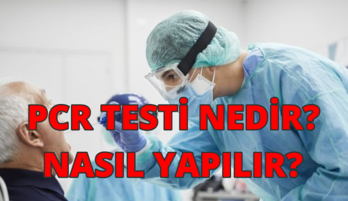 PCR TESTİ NEDİR? NASIL YAPILIR?