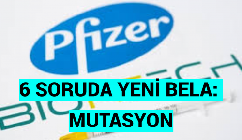 6 SORUDA YENİ BELA: MUTASYON