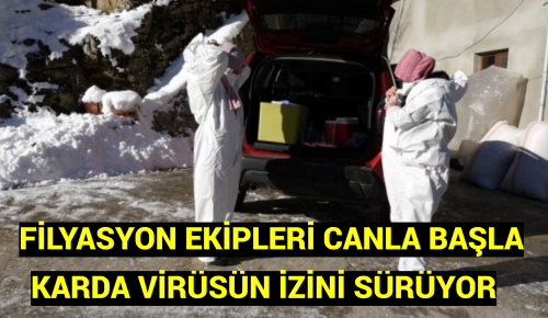   FİLYASYON EKİPLERİ CANLA BAŞLA Karda Virüsün İzini Sürüyor