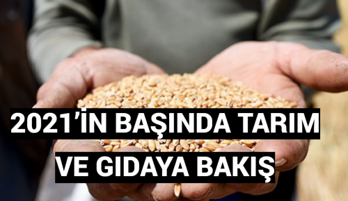 2021’İN BAŞINDA TARIM VE GIDAYA BAKIŞ