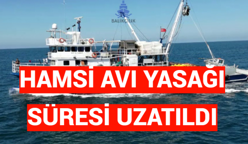 HAMSİ AVI YASAĞI SÜRESİ UZATILDI