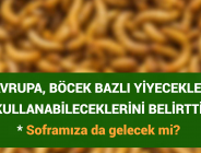 AVRUPA, BÖCEK BAZLI YİYECEKLERİ KULLANABİLECEKLERİNİ BELİRTTİ: Soframıza da gelecek mi?