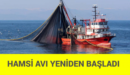 HAMSİ AVI YENİDEN BAŞLADI