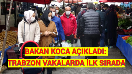 BAKAN KOCA AÇIKLADI: TRABZON VAKALARDA İLK SIRADA