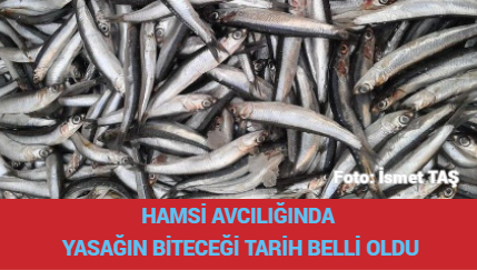 HAMSİ AVCILIĞINDA YASAĞIN BİTECEĞİ TARİH BELLİ OLDU