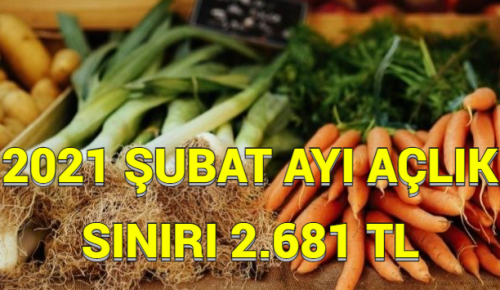 2021 ŞUBAT AYI AÇLIK SINIRI 2.681 TL