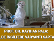 PROF. DR. KAYIHAN PALA: 70 İLDE İNGİLTERE VARYANTI SAPTANDI