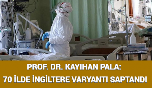 PROF. DR. KAYIHAN PALA: 70 İLDE İNGİLTERE VARYANTI SAPTANDI