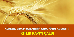 KÜRESEL GIDA FİYATLARI BİR AYDA YÜZDE 4,3 ARTTI: KITLIK KAPIYI ÇALDI