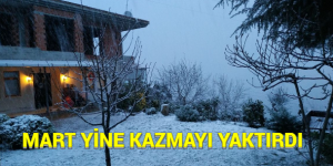 MART  YİNE KAZMAYI YAKTIRDI