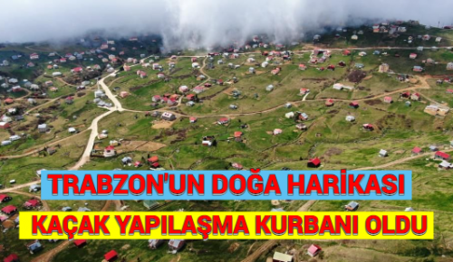 TRABZON’UN DOĞA HARİKASI KAÇAK YAPILAŞMA KURBANI OLDU