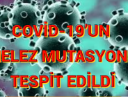 COVİD-19’UN MELEZ MUTASYONU TESPİT EDİLDİ