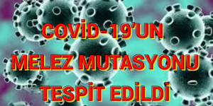 COVİD-19’UN MELEZ MUTASYONU TESPİT EDİLDİ