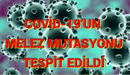 COVİD-19’UN MELEZ MUTASYONU TESPİT EDİLDİ