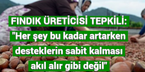 FINDIK ÜRETİCİSİ TEPKİLİ: “Her şey bu kadar artarken desteklerin sabit kalması akıl alır gibi değil”