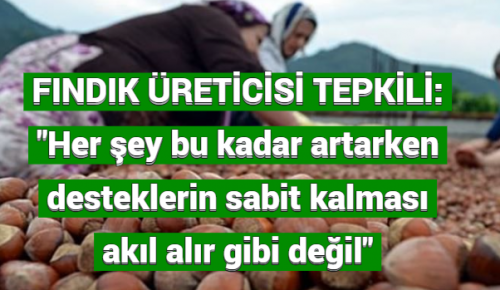 FINDIK ÜRETİCİSİ TEPKİLİ: “Her şey bu kadar artarken desteklerin sabit kalması akıl alır gibi değil”