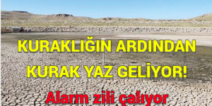 KURAKLIĞIN ARDINDAN KURAK YAZ GELİYOR: Alarm zili çalıyor