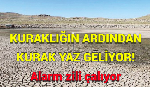 KURAKLIĞIN ARDINDAN KURAK YAZ GELİYOR: Alarm zili çalıyor