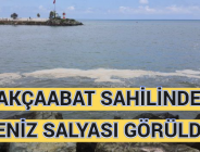 AKÇAABAT SAHİLİNDE DENİZ SALYASI GÖRÜLDÜ