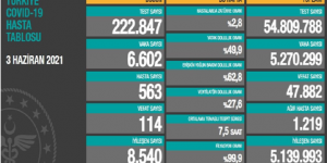 CORONAVİRÜS TABLOSUNDA BUGÜN (03 HAZİRAN 2021)