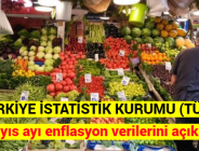 TÜRKİYE İSTATİSTİK KURUMU (TÜİK), Mayıs ayı enflasyon verilerini açıkladı