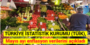 TÜRKİYE İSTATİSTİK KURUMU (TÜİK), Mayıs ayı enflasyon verilerini açıkladı