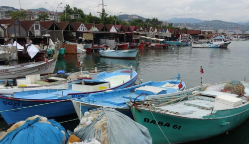 TRABZON’DA TARİHİN EN YÜKSEK BALIK FİYATI!