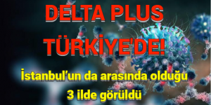 DELTA PLUS TÜRKİYE’DE: İstanbul’un da arasında olduğu 3 ilde görüldü