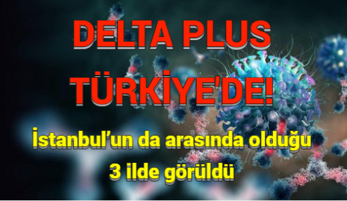 DELTA PLUS TÜRKİYE’DE: İstanbul’un da arasında olduğu 3 ilde görüldü