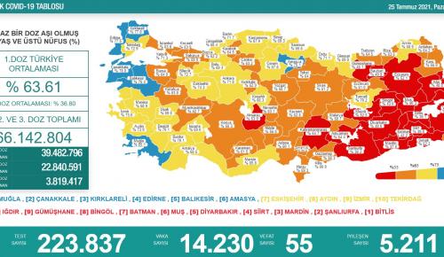 CORONAVİRÜS TABLOSUNDA BUGÜN (25 TEMMUZ 2021)