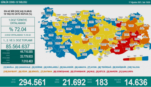 CORONAVİRÜS TABLOSUNDA BUGÜN (17 AĞUSTOS 2021)