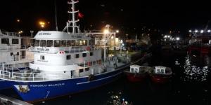 TRABZON’DA AV SEZONU AÇILDI: İlk günde istavrit bolluğu