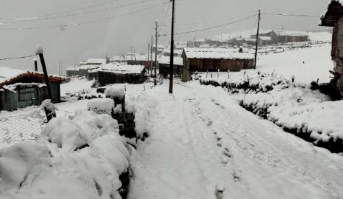 YAYLALAR BEYAZA BÜRÜNDÜ: Trabzon yaylalarında kar kalınlığı 30 cm’yi buldu