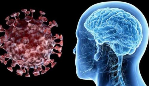CORONAVİRÜS GEÇİRENLER İÇİN KORKUTAN ARAŞTIRMA: Beyni küçültüyor