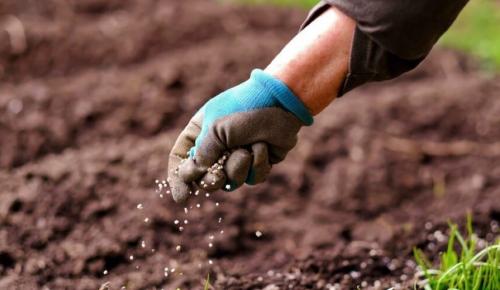 GÜBRE KITLIĞI GIDA KRİZİNİ TETİKLEYEBİLİR: Çiftçi ekemezse gıda…