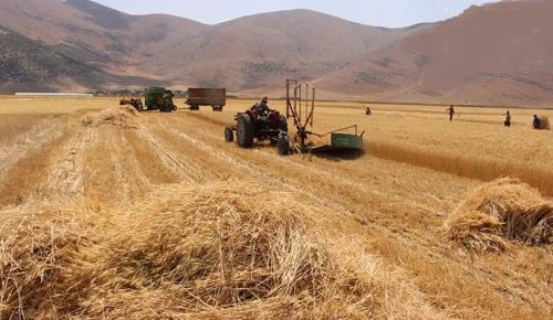 TÜRKİYE, DÜNYANIN EN BÜYÜK İKİNCİ BUĞDAY İTHALATÇISI HALİNE GELDİ: Buğdayda neler oluyor?