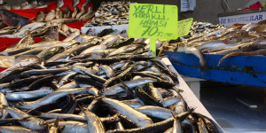 HAVALAR SOĞUDU: Balıkçı tezgahları şenlendi!