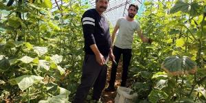 TARLADAN SOFRAYA YÜZDE 400 ARTIŞ! ÇİFTÇİ DERTLİ: Yük bizim sırtımızda ama kazanan biz değiliz