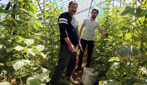 TARLADAN SOFRAYA YÜZDE 400 ARTIŞ! ÇİFTÇİ DERTLİ: Yük bizim sırtımızda ama kazanan biz değiliz